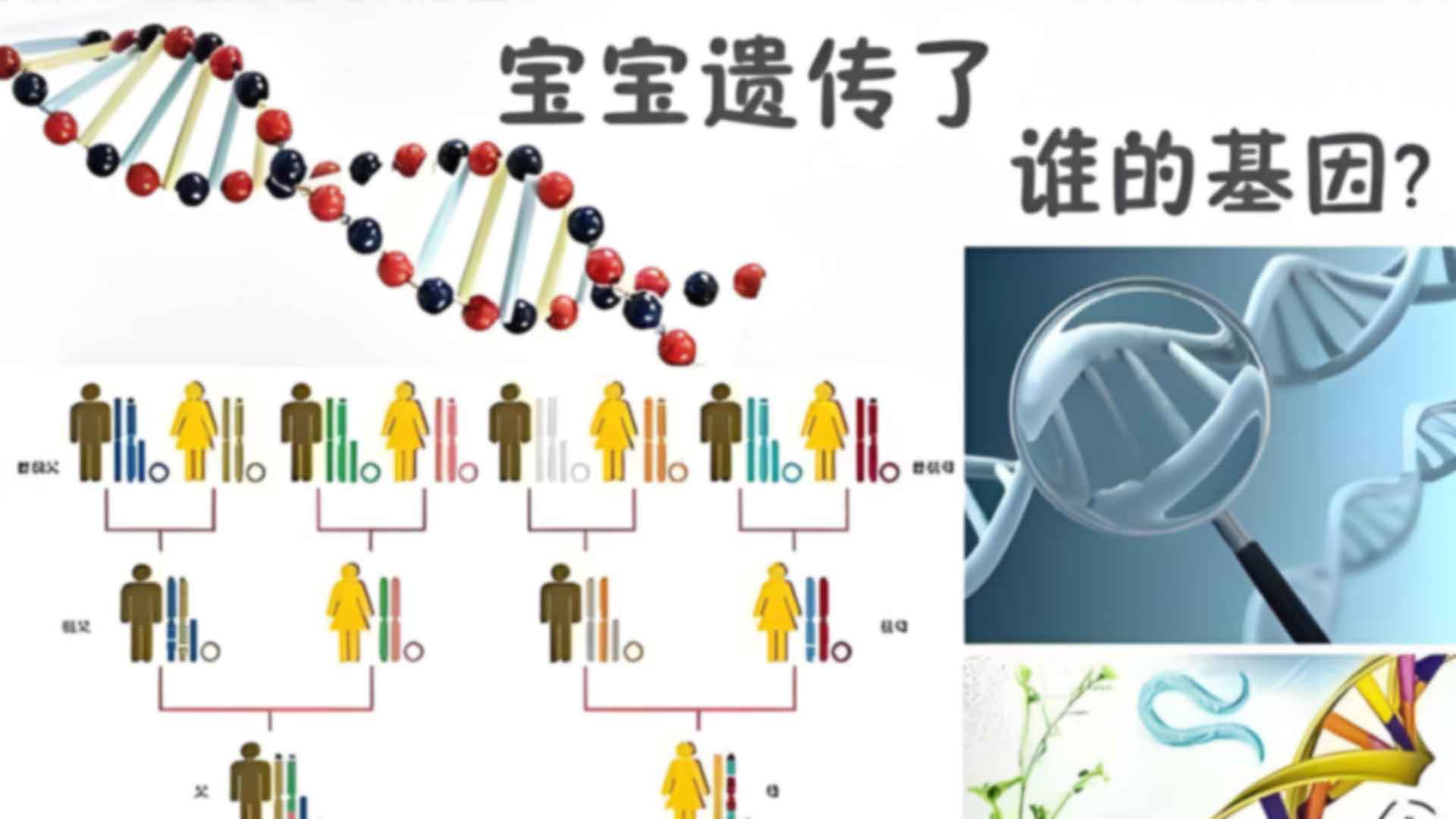 雷州孕期亲子鉴定的伦理问题与法律规定